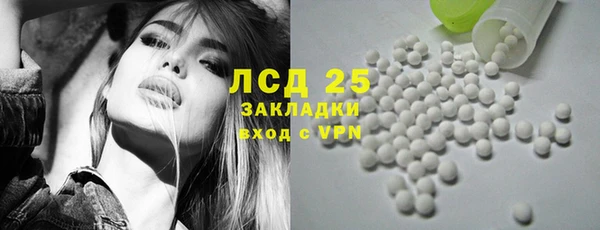 МДПВ Бородино