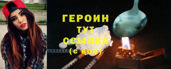 МДПВ Бородино