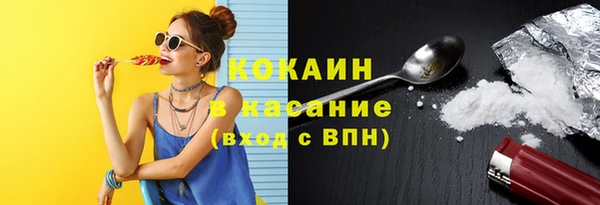 МДПВ Бородино