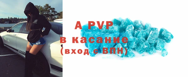 МДПВ Бородино