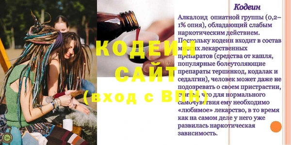 МДПВ Бородино