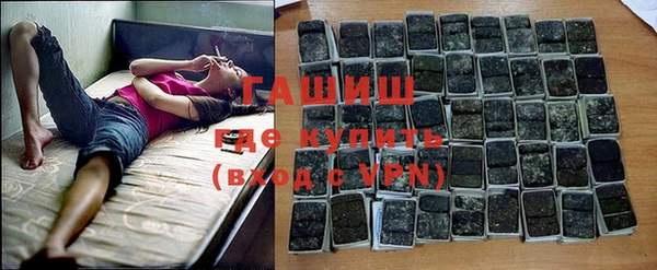 гашик Ветлуга