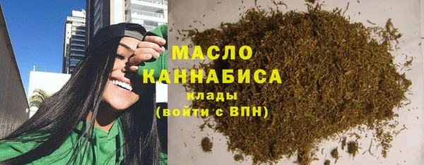 МДПВ Бородино